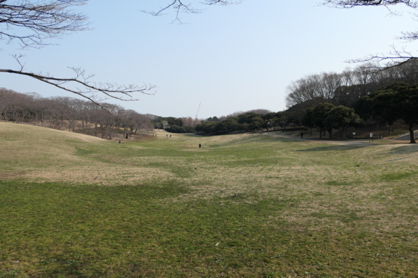 f0369014_12135553.jpg