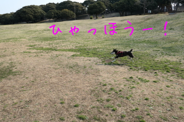 f0369014_12173160.jpg