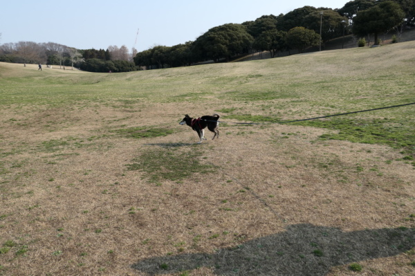 f0369014_12181247.jpg