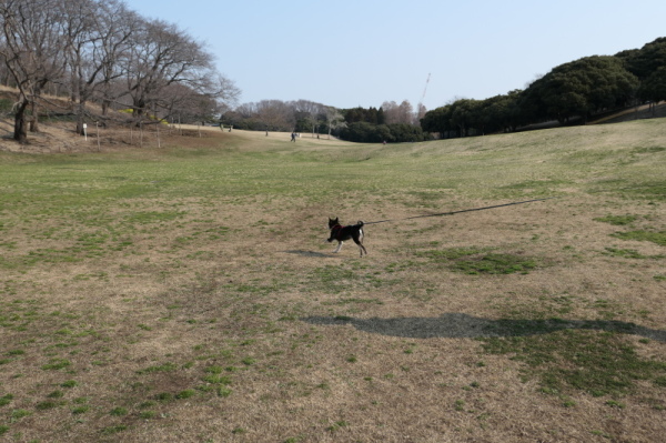 f0369014_12184276.jpg