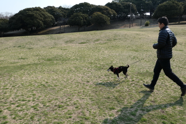 f0369014_12203670.jpg