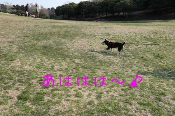 f0369014_12221268.jpg