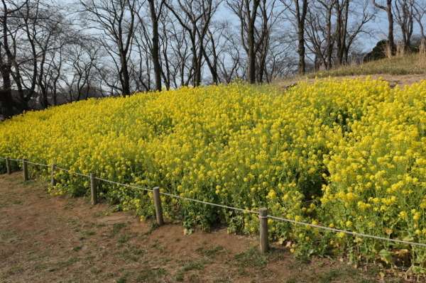 f0369014_12233363.jpg