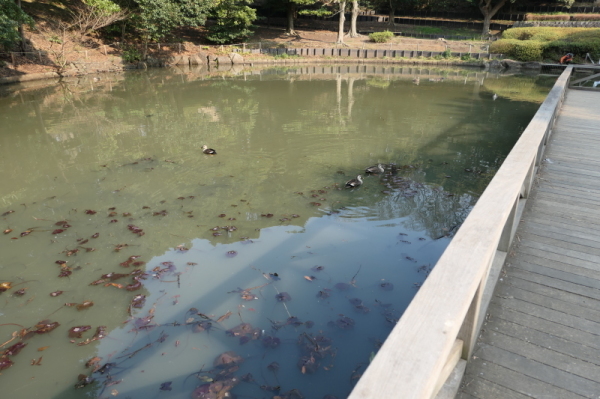 f0369014_12235936.jpg