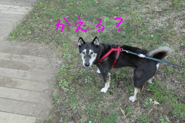 f0369014_12320415.jpg