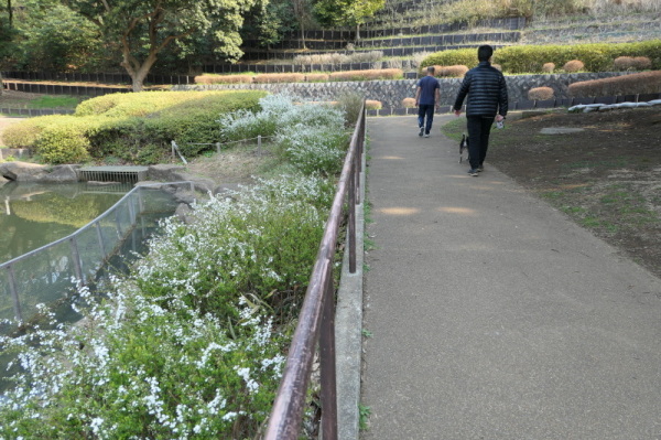 f0369014_12323356.jpg