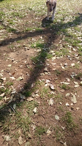 b0339522_17382237.jpg