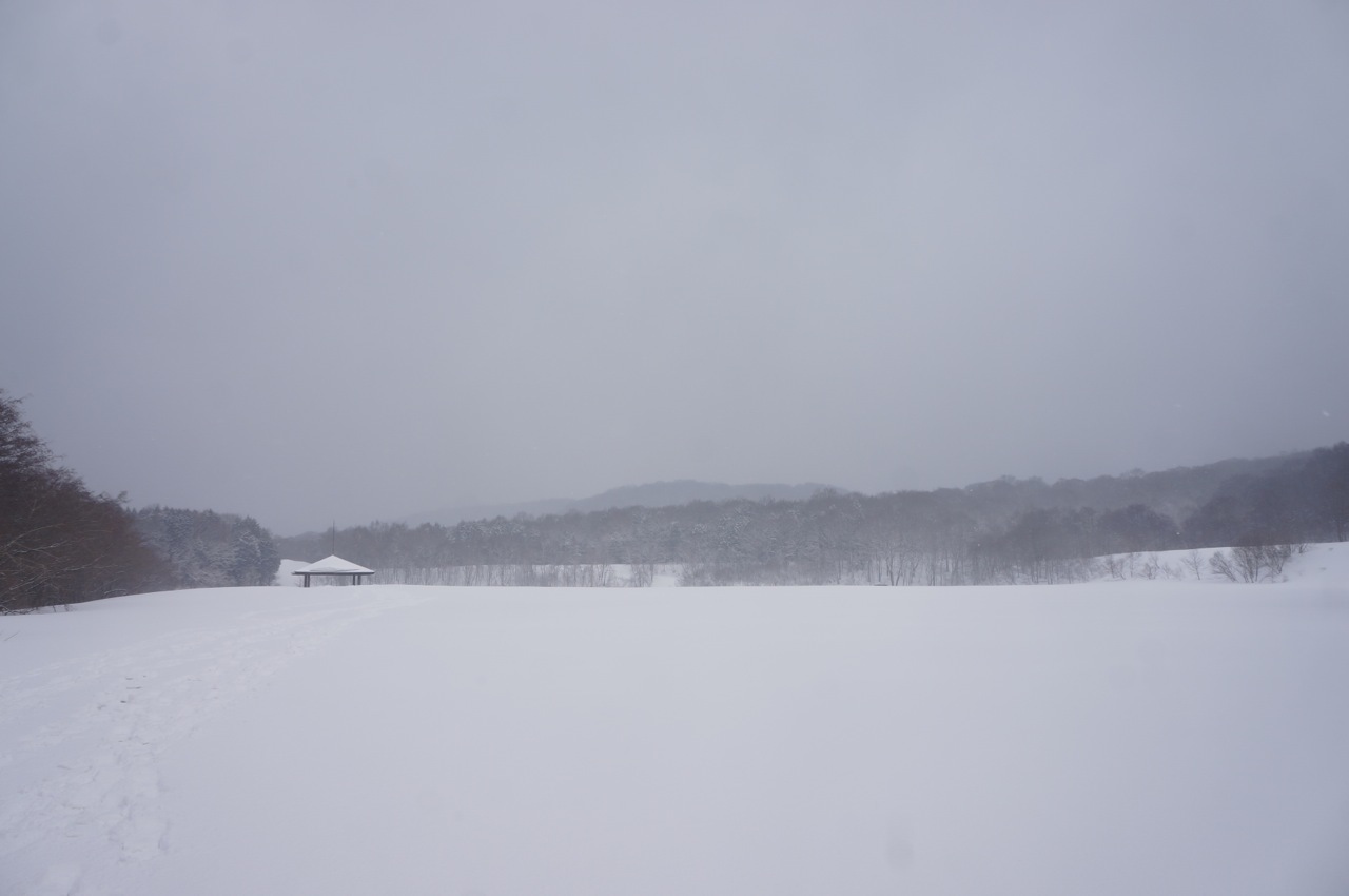 f0234023_16394300.jpg