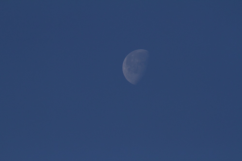 c0111229_18574249.jpg