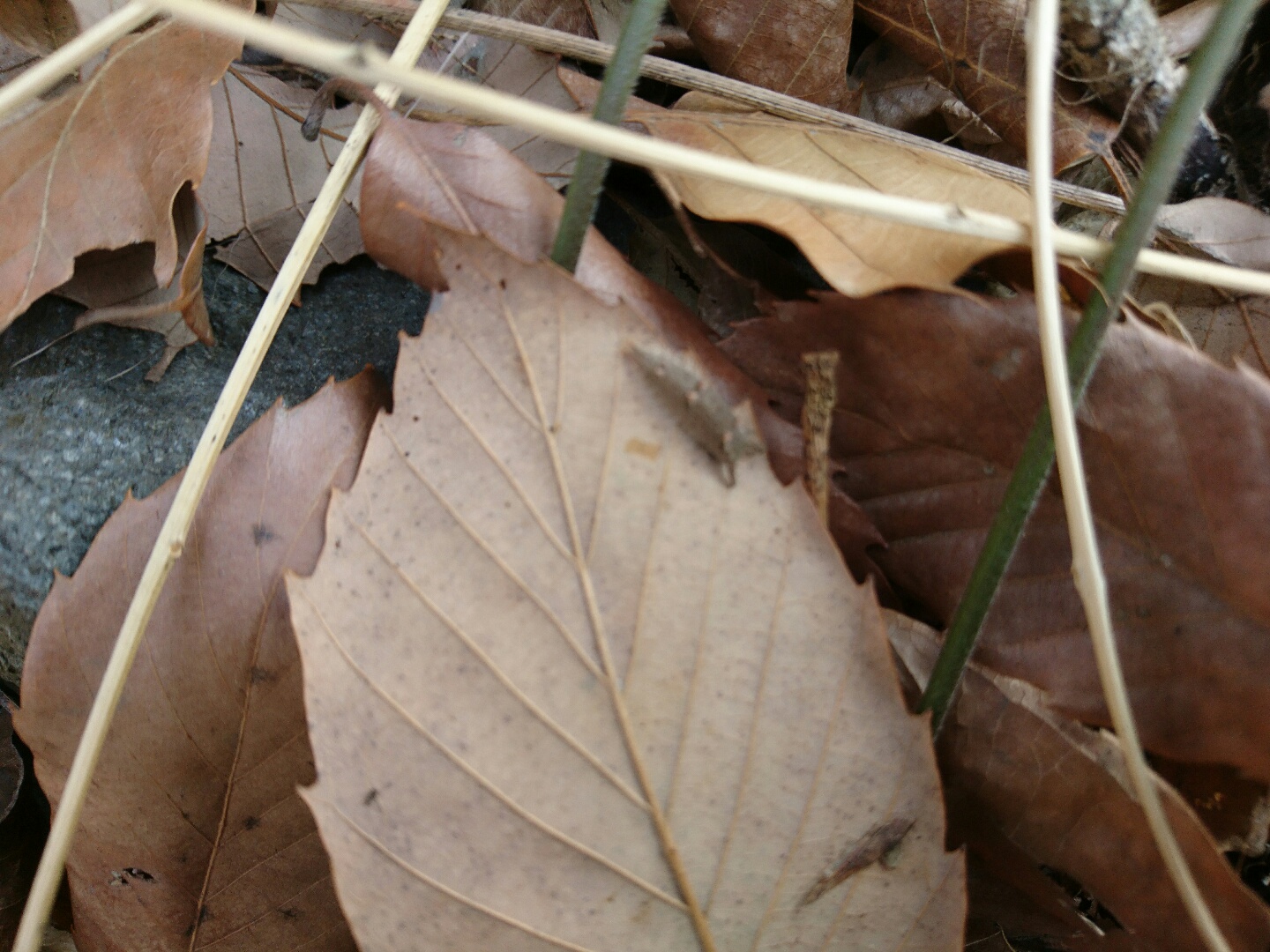 f0161535_23471240.jpg