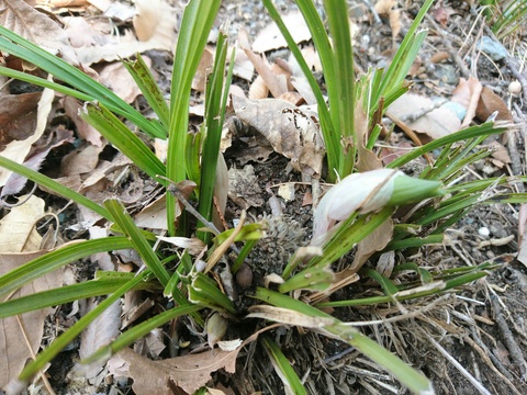f0161535_23473094.jpg