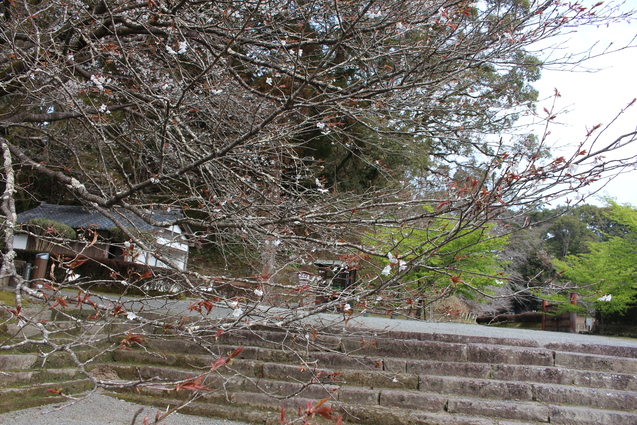 d0353837_22344270.jpg