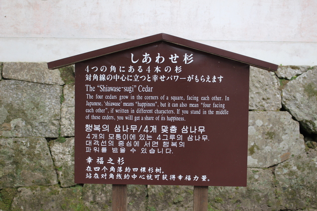 d0353837_22395449.jpg