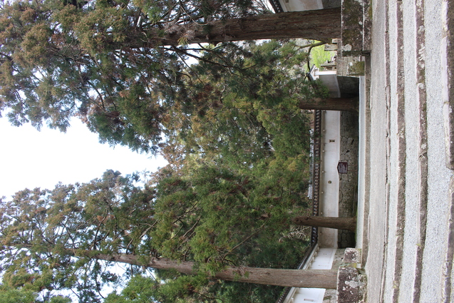 d0353837_2240411.jpg