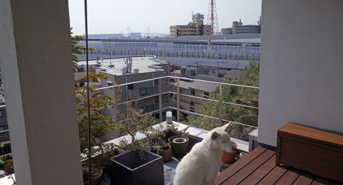 a0117039_19194364.jpg