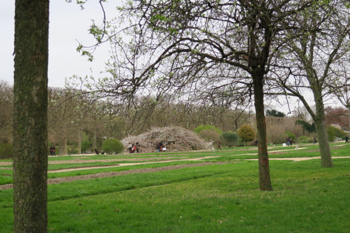 e0300042_18403780.jpg