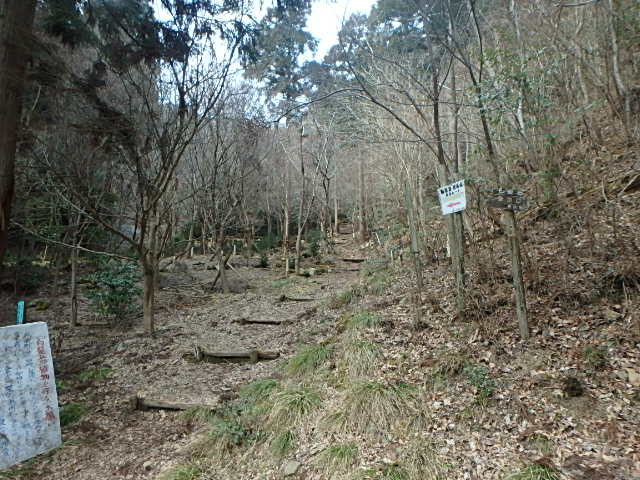f0334143_21284126.jpg