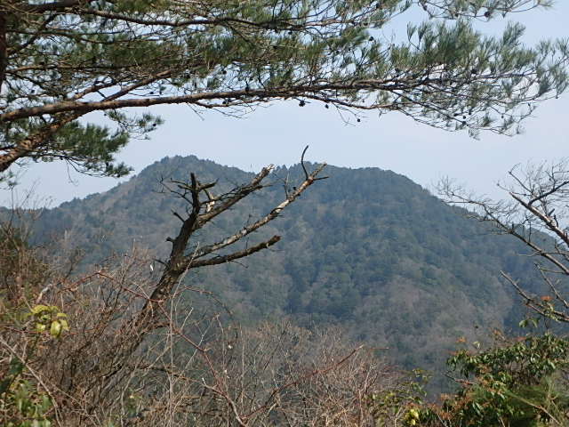 f0334143_2129147.jpg
