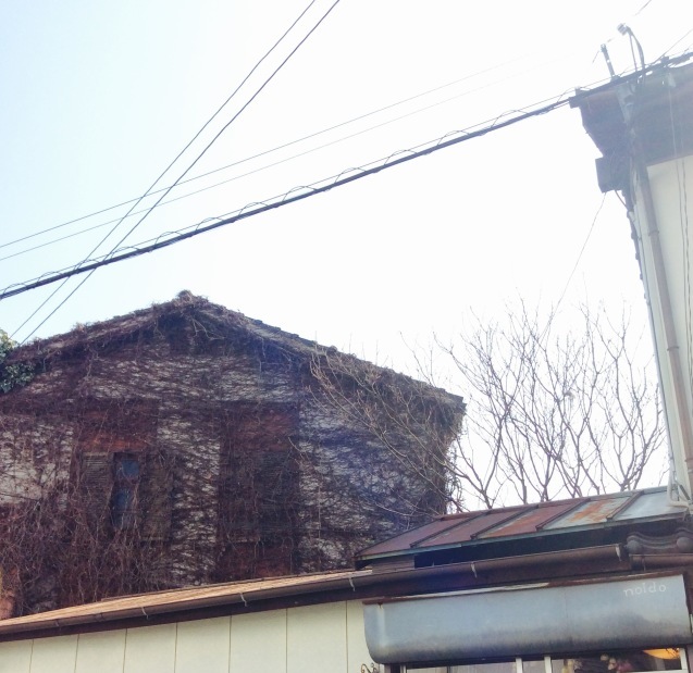 c0340351_15164480.jpeg