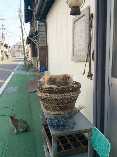 c0340351_15243159.jpeg