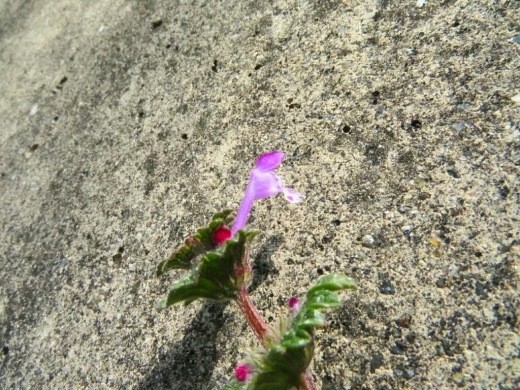 a0018655_15164531.jpg