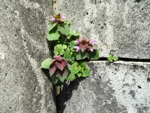 a0018655_15165396.jpg