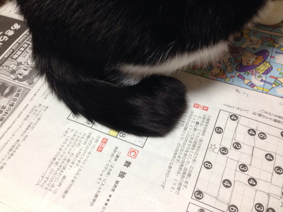 f0304957_00123801.jpg