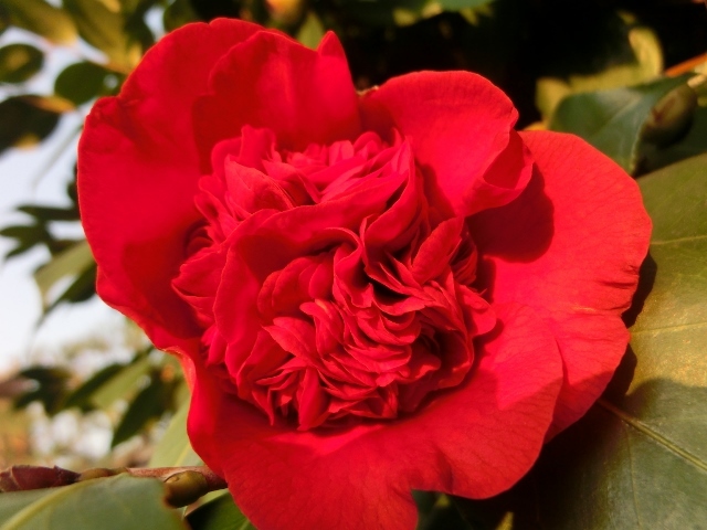 c0328559_17340174.jpg