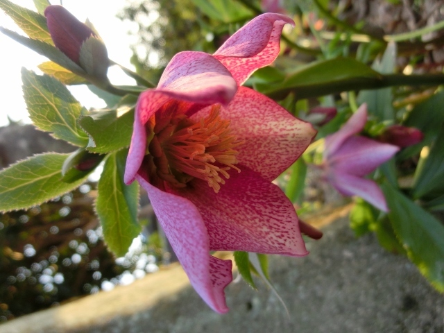 c0328559_17345976.jpg