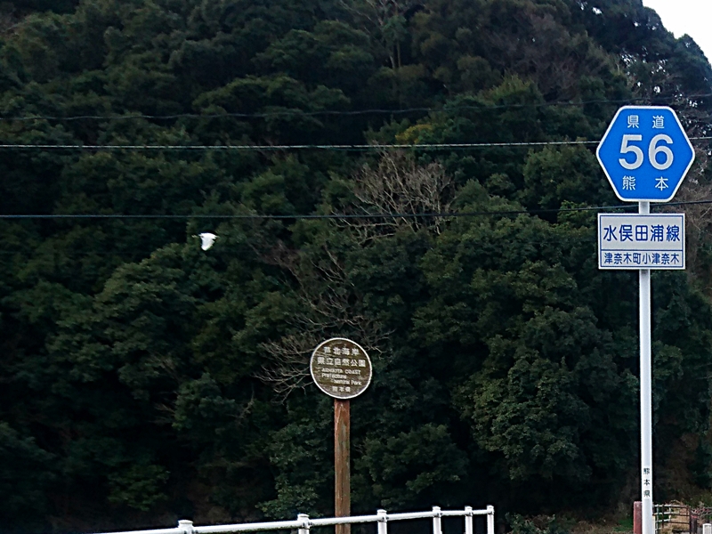 c0292665_1957234.jpg