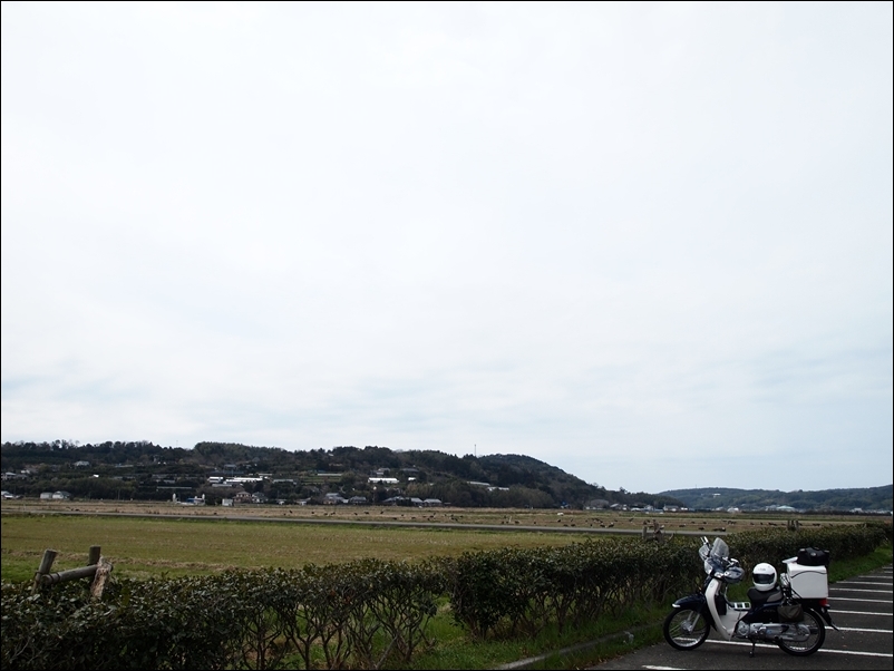 c0292665_20152186.jpg