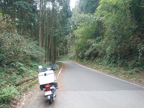 c0292665_2031411.jpg