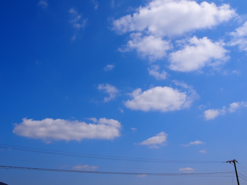 d0226565_20100728.jpg