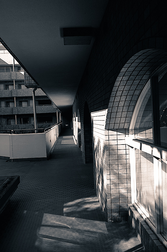 d0175768_13013362.jpg