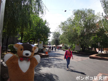 e0073268_16491310.jpg