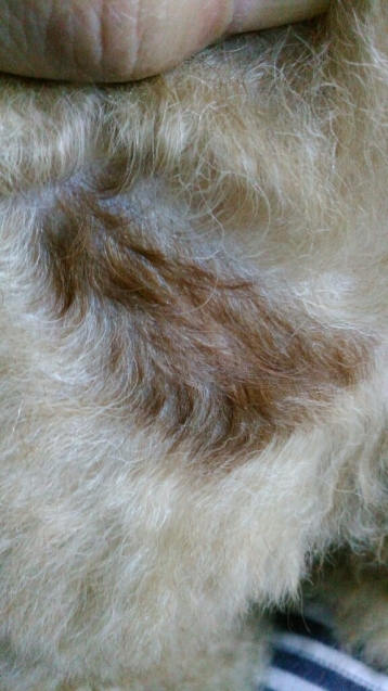 c0162773_01054791.jpg
