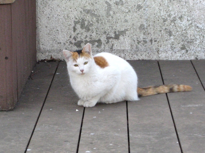 b0057679_09121729.jpg