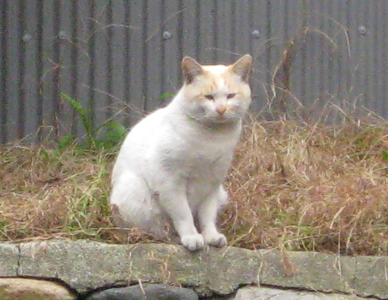 b0057679_09122762.jpg