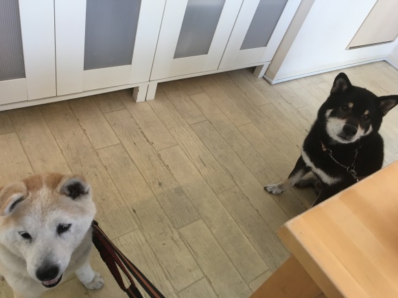 c0123890_18515776.jpeg