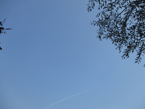 d0333091_1829960.jpg