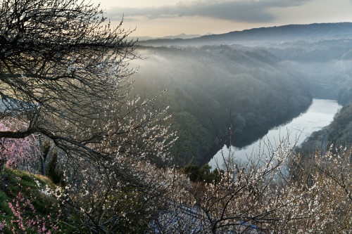 e0366896_22371097.jpg