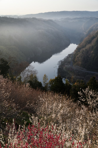 e0366896_22380938.jpg