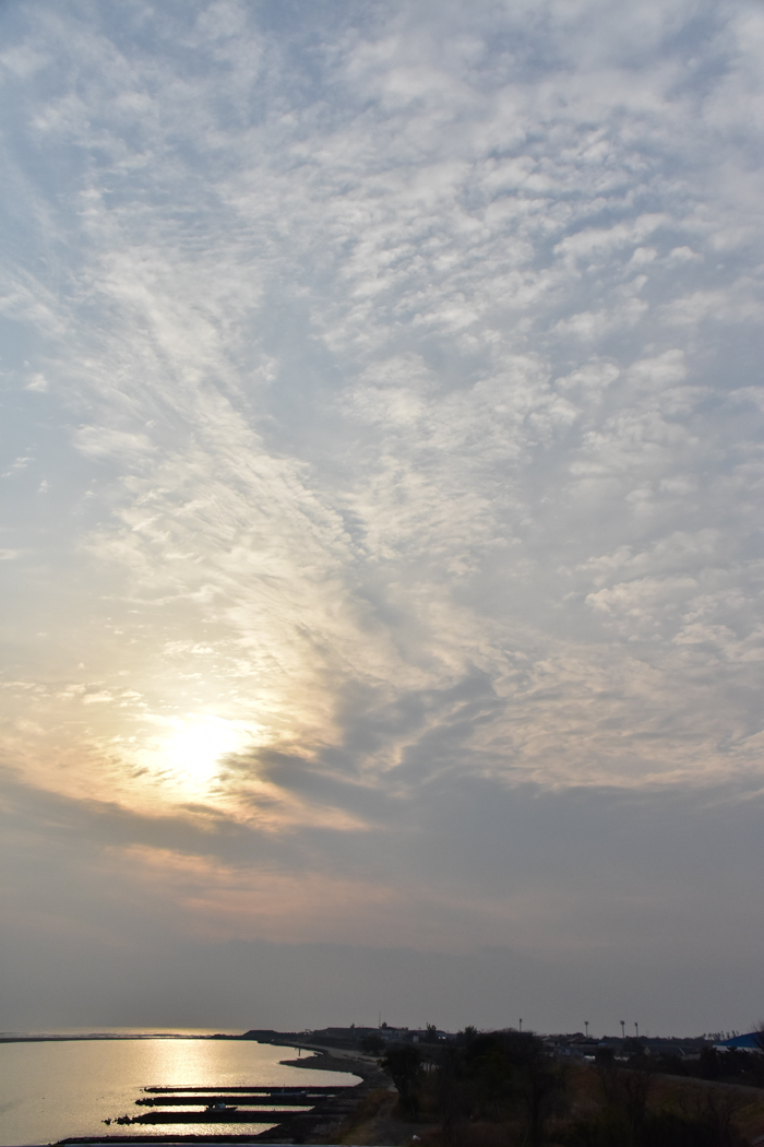 c0049299_22095544.jpg