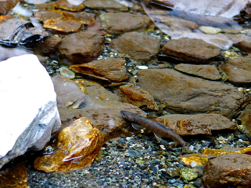 c0339900_21464533.jpg