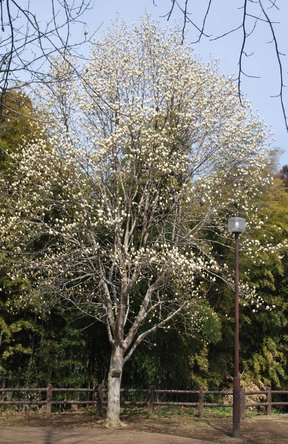 e0025300_17401620.jpg