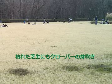 d0051601_09040943.jpg