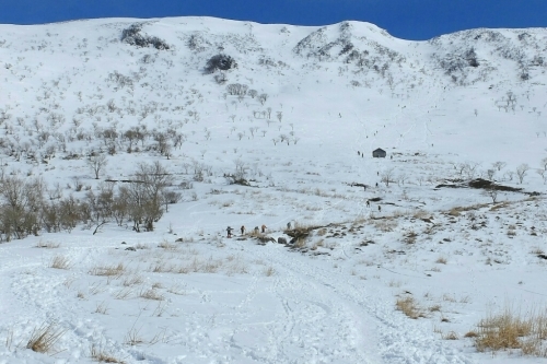 e0304001_22510367.jpg