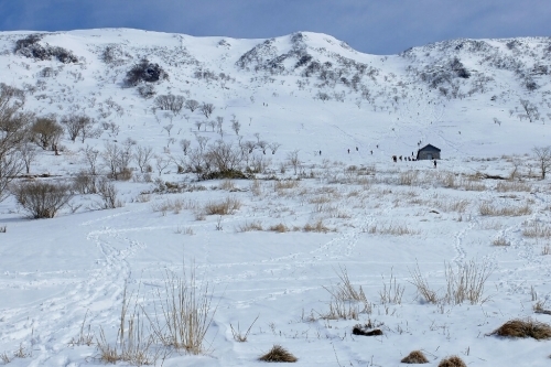 e0304001_22510725.jpg