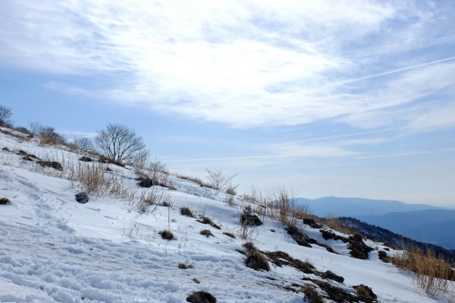 e0304001_22510963.jpg