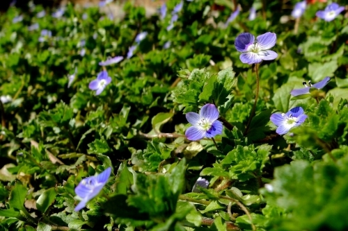 e0304001_22582236.jpg